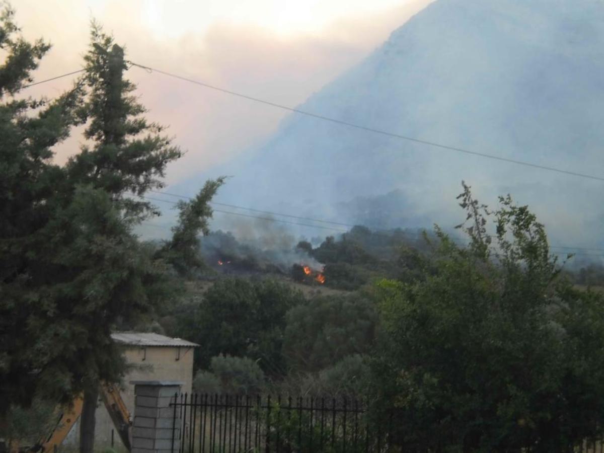 ΦΩΤΟ από το palairosnews