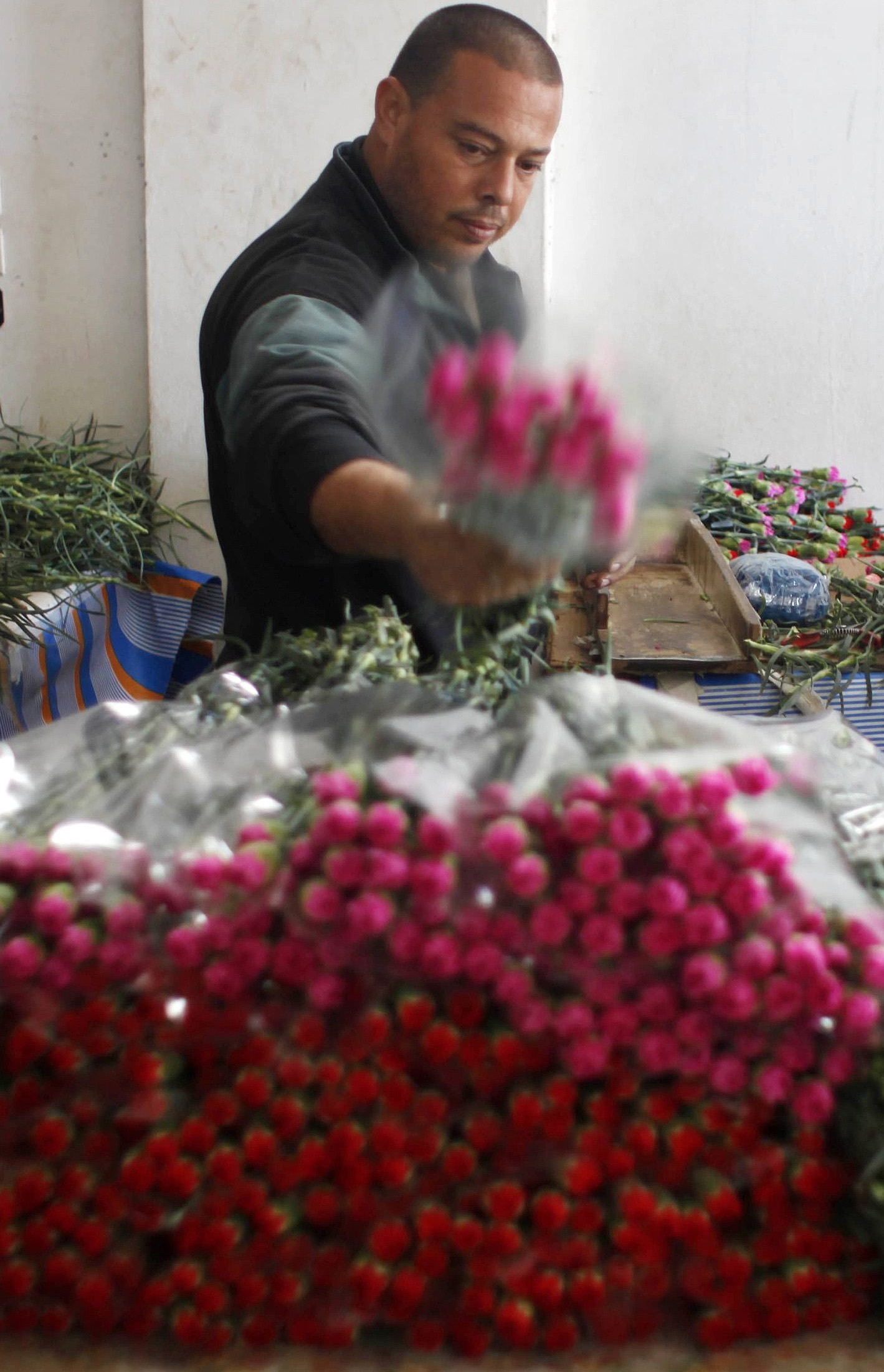 ΠΑΛΑΙΣΤΙΝΗ