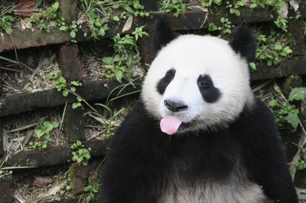 ΩΡΑ 10.00 ΚΙΝΑ