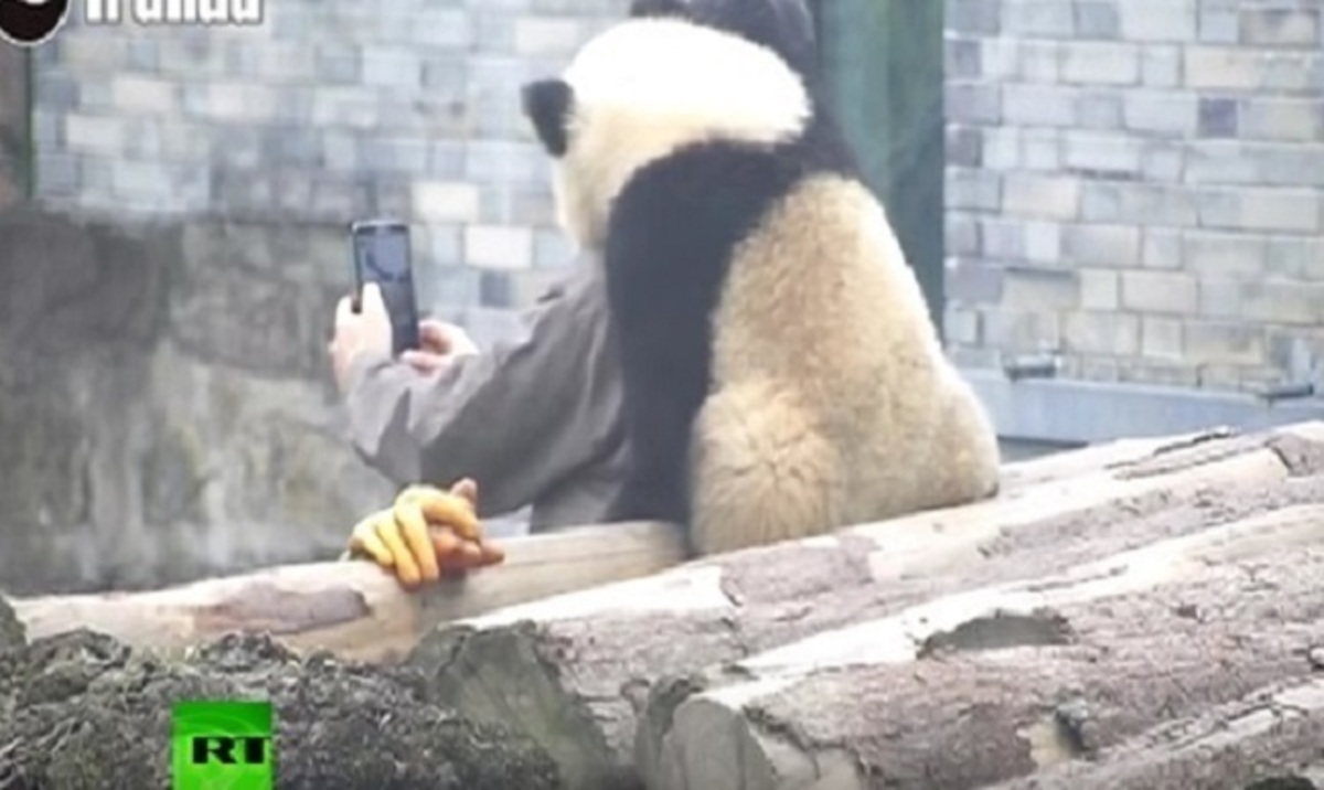 Selfie για… πάντα – ΒΙΝΤΕΟ