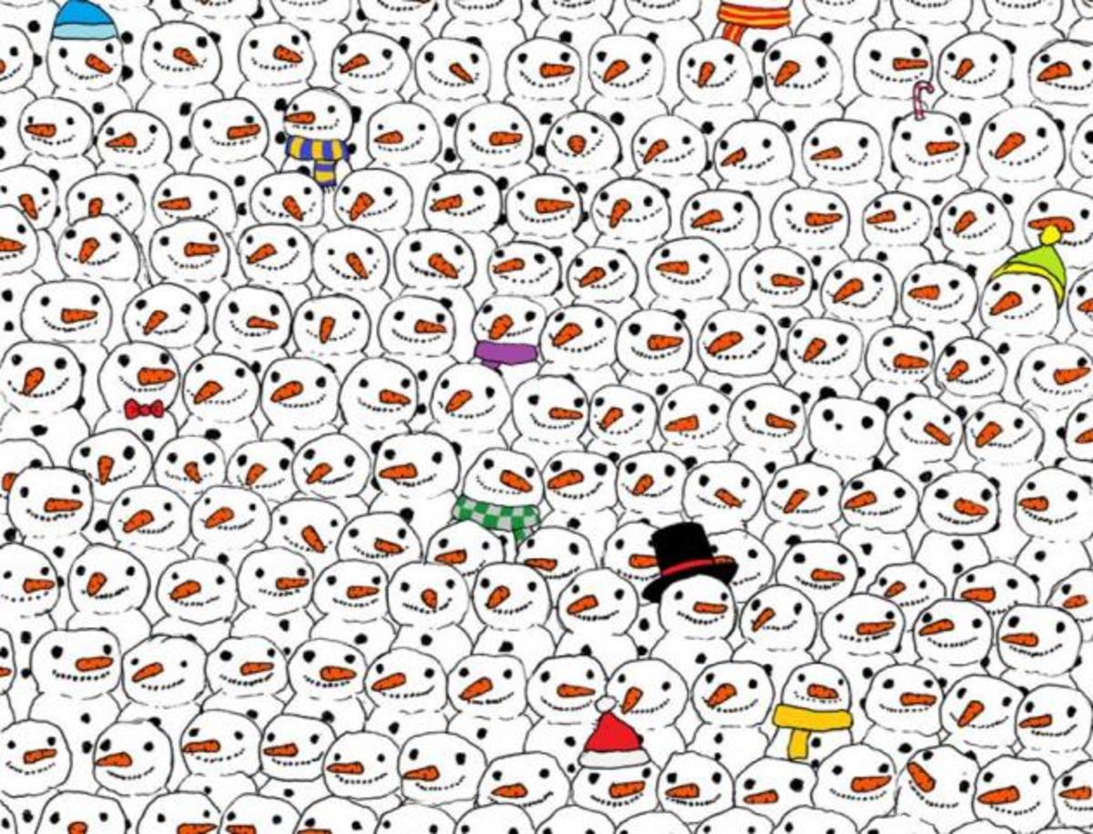 Εσείς μπορείτε να βρειτε το panda; Η φωτογραφία που έχει τρελάνει το internet!