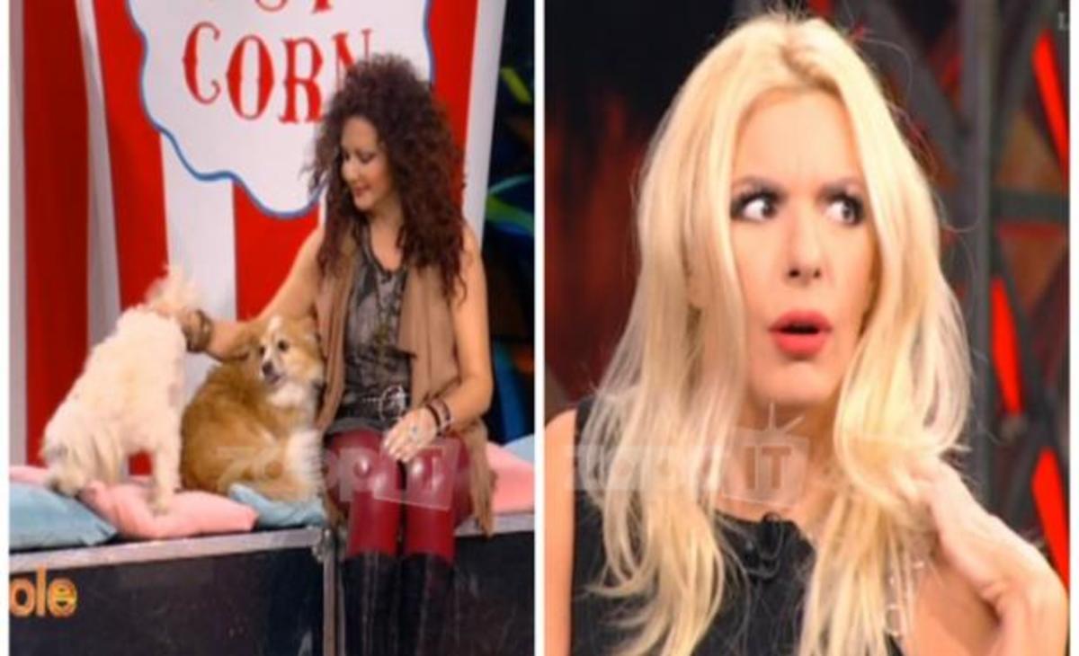 Αννίτα Πάνια: Πώς αντέδρασε όταν μπήκαν στο πλατό τα σκυλιά της Σοφίας Αρβανίτη;