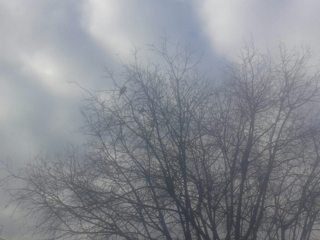 ΦΩΤΟ ΑΠΕ-ΜΠΕ