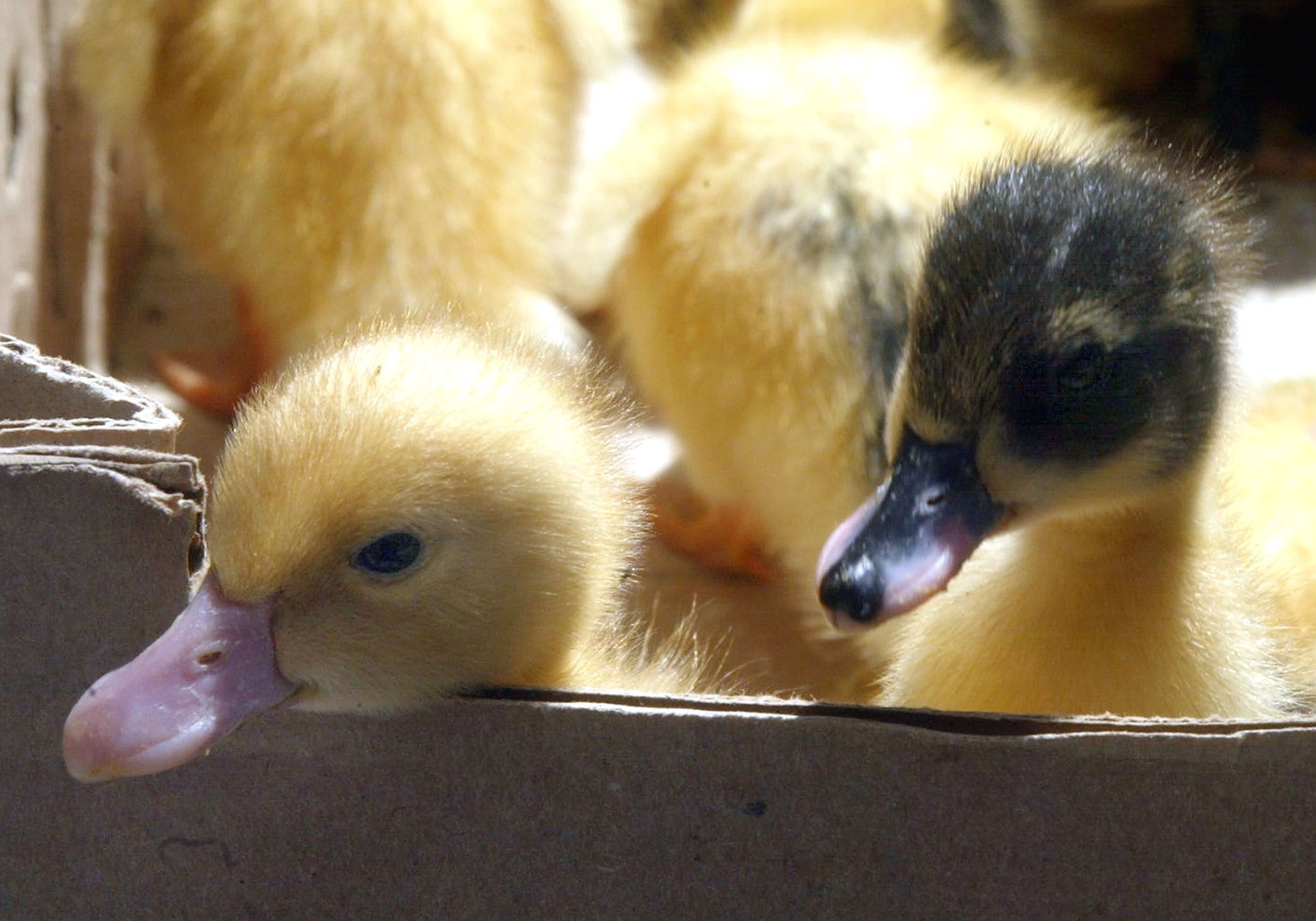 ΦΩΤΟ EUROKINISSI