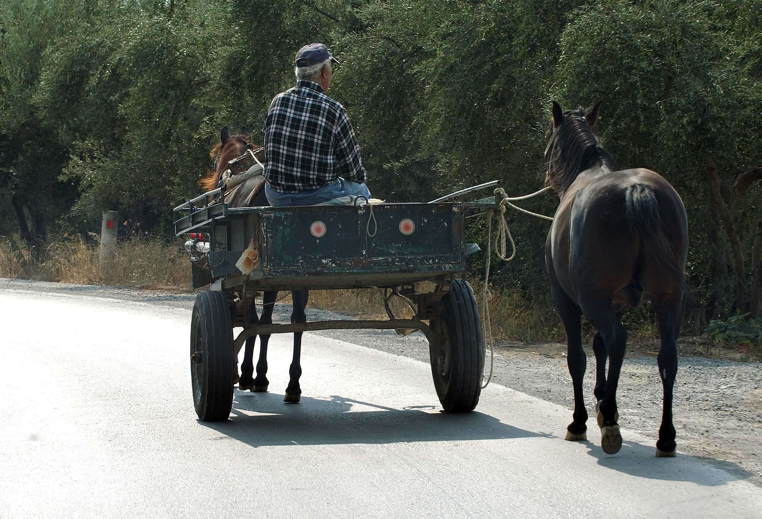 Πύλος: Βασάνισαν ηλικιωμένο μέχρι θανάτου για να τον ληστέψουν