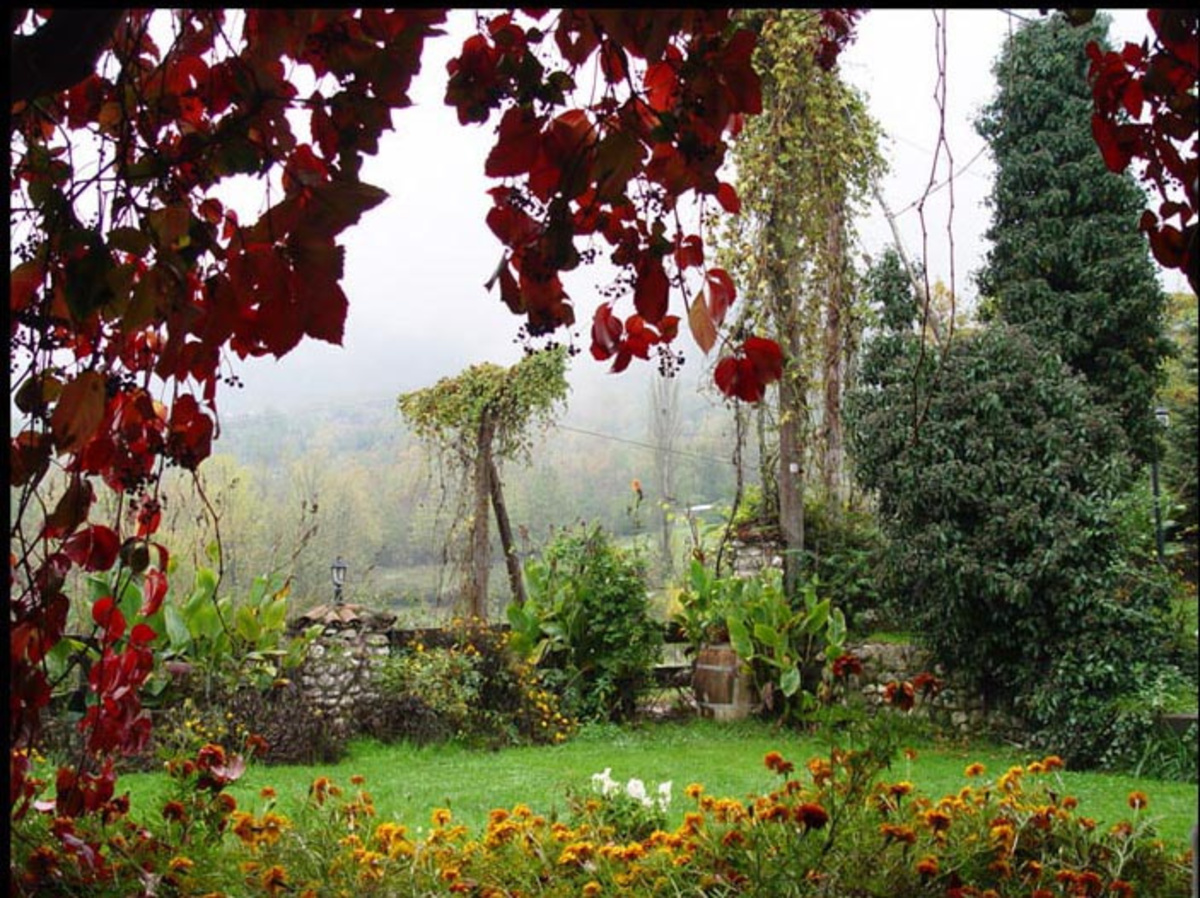 Λάρισα: Έναν “κήπο” στη βεράντα του σπιτιού τους…