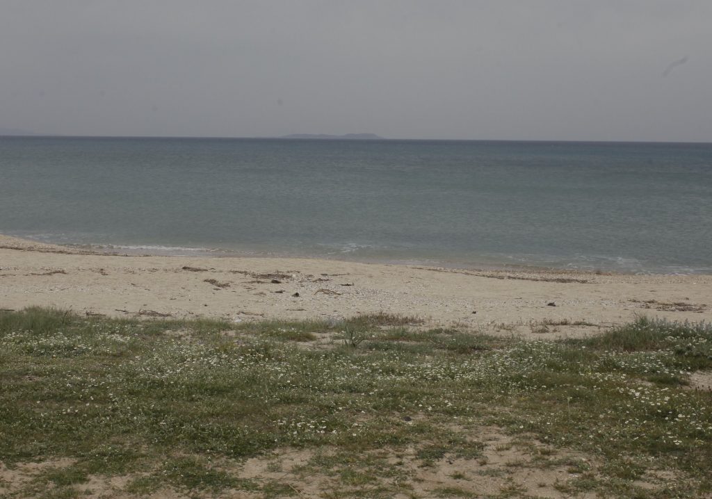 Μητέρα μαθητή θύματος Χρυσαυγιτών