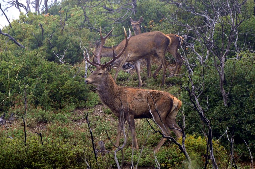 Φωτογραφίες που κλείνουν όμορφα τη μέρα!