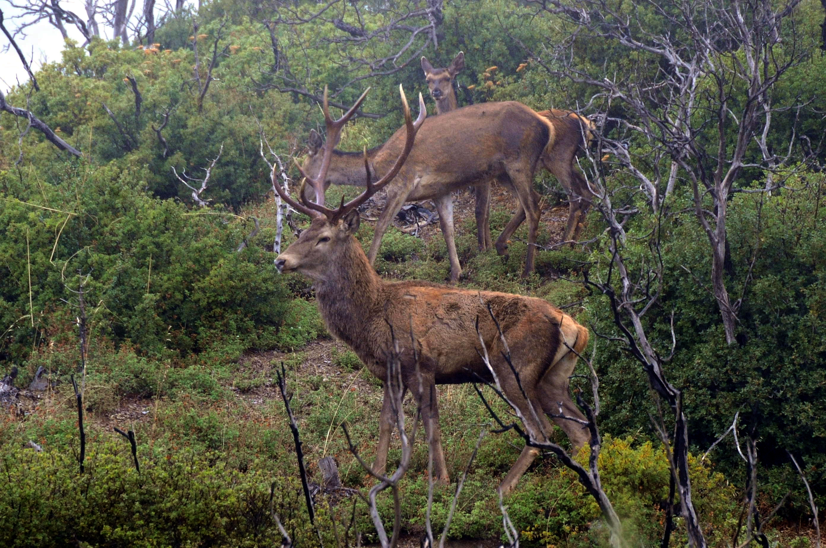 Φωτογραφίες που κλείνουν όμορφα τη μέρα!