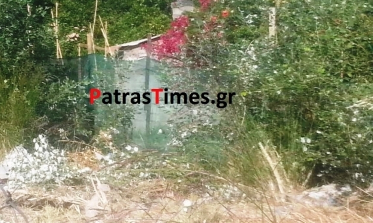 ΦΩΤΟ από patrastimes.gr
