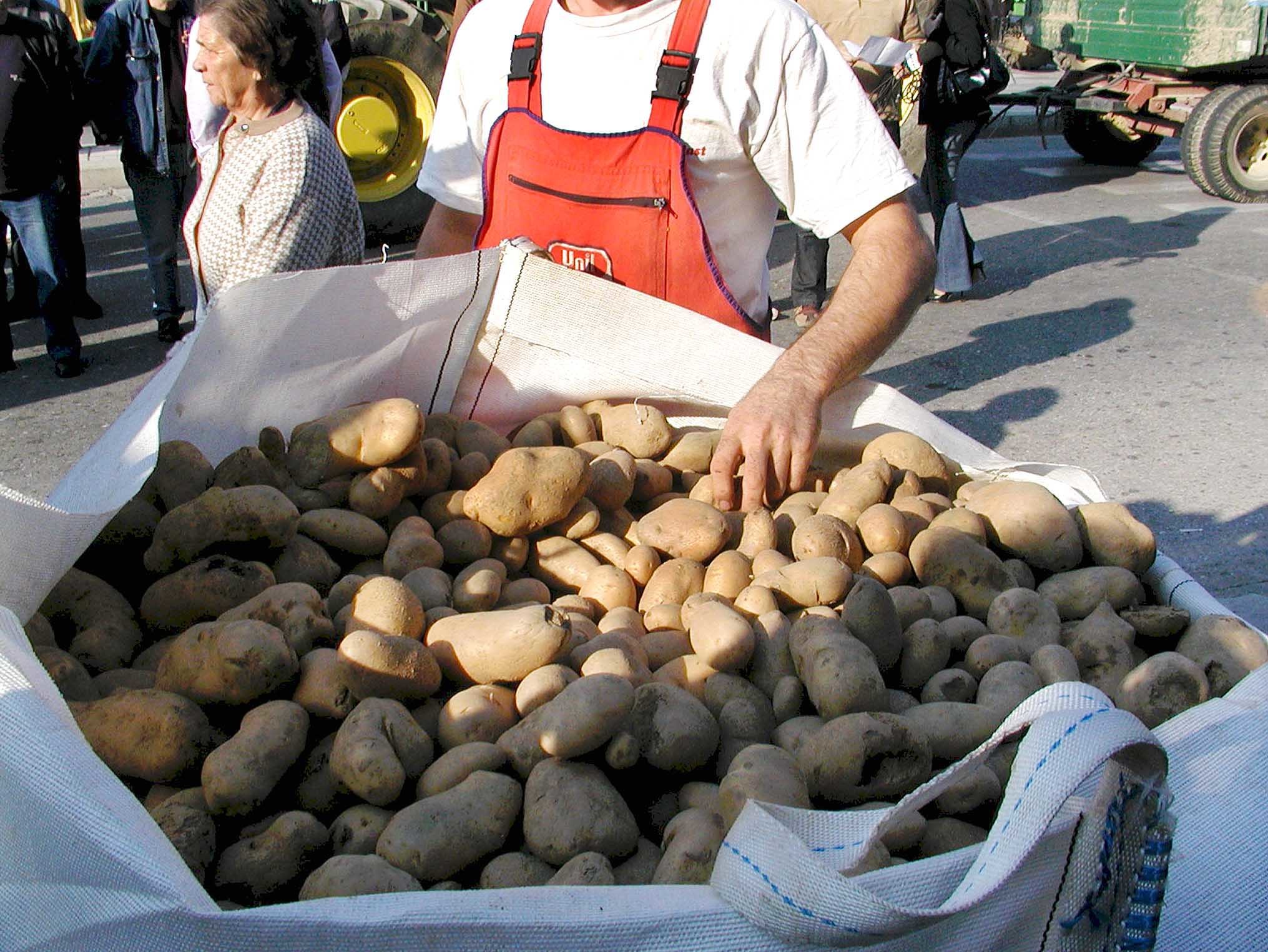 12 τόνους πατάτες θα μοιράσουν αύριο στη Θεσσαλονίκη οι αγρότες του Νευροκοπίου!