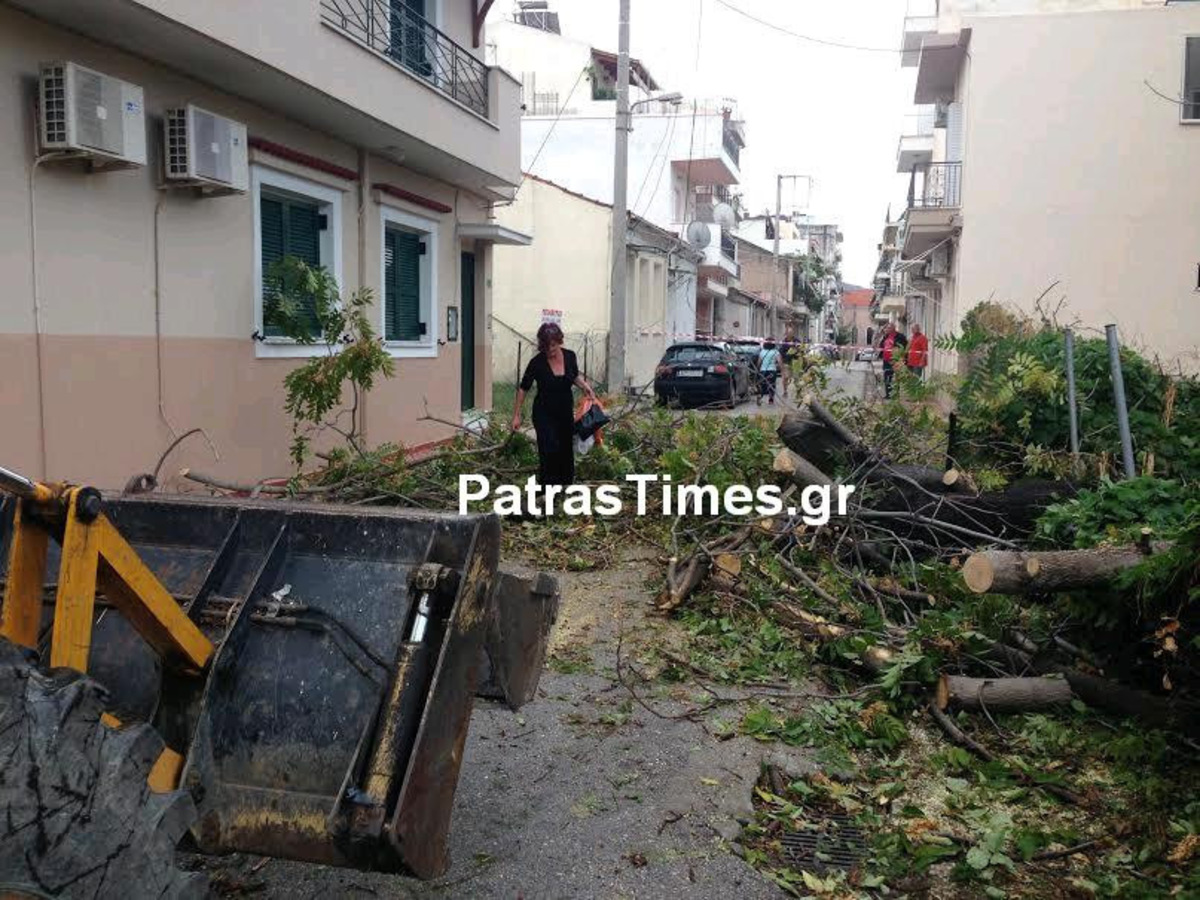 Τρόμος για οικογένεια στην Πάτρα – Τεράστιο δέντρο έπεσε πάνω στο σπίτι! [vids]