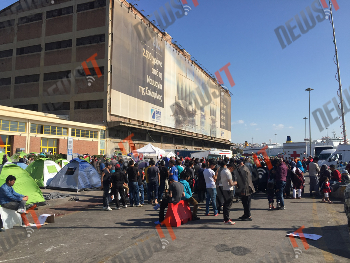 Πειραιάς: Φόβοι για κρούσματα ελονοσίας – Καμπανάκι από τον Ιατρικό Σύλλογο
