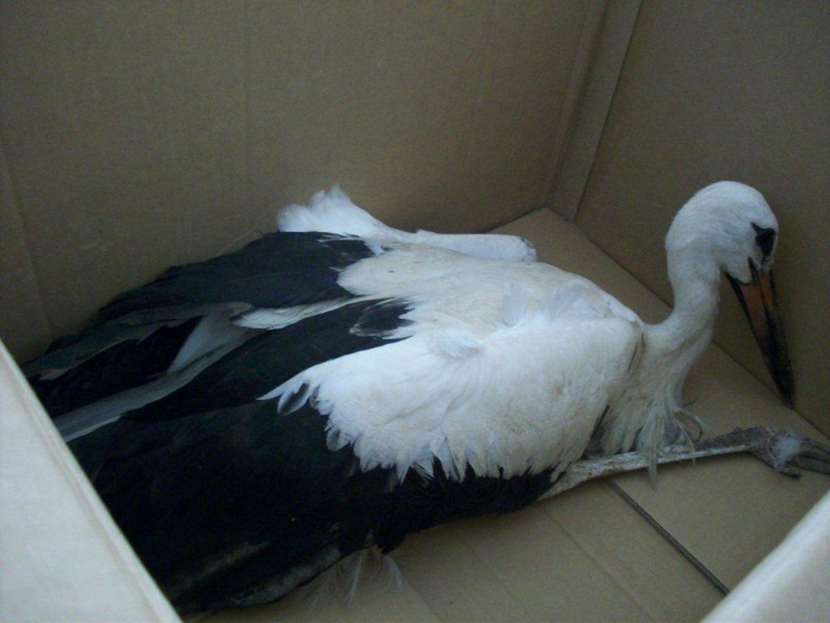 ΦΩΤΟ ΑΡΧΕΙΟΥ EUROKINISSI