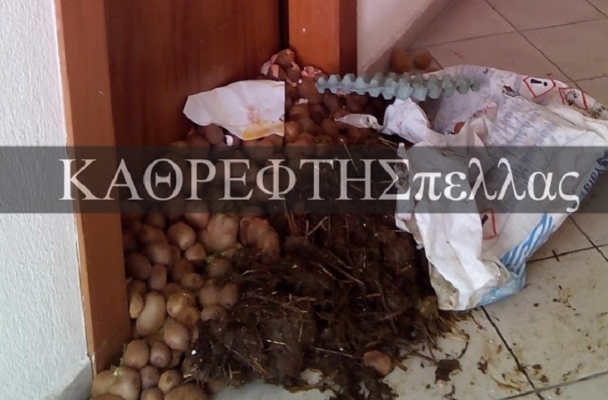 Πέλλα: Αγρότες άφησαν… κοπριά σε γραφείο βουλευτή του ΣΥΡΙΖΑ! – ΒΙΝΤΕΟ