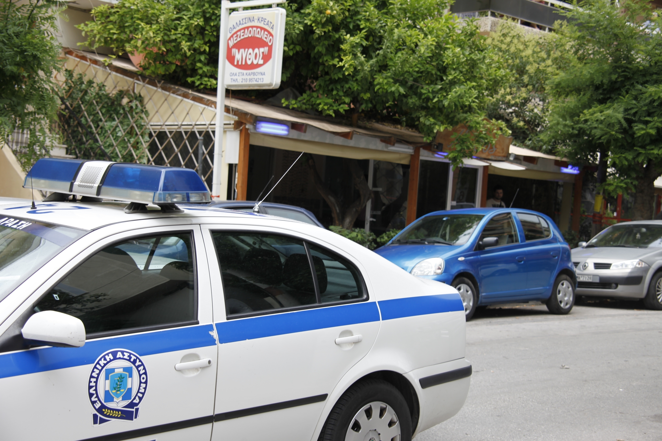 Εύβοια: Μέσα σε δύο μήνες έκαναν 22 κλοπές!