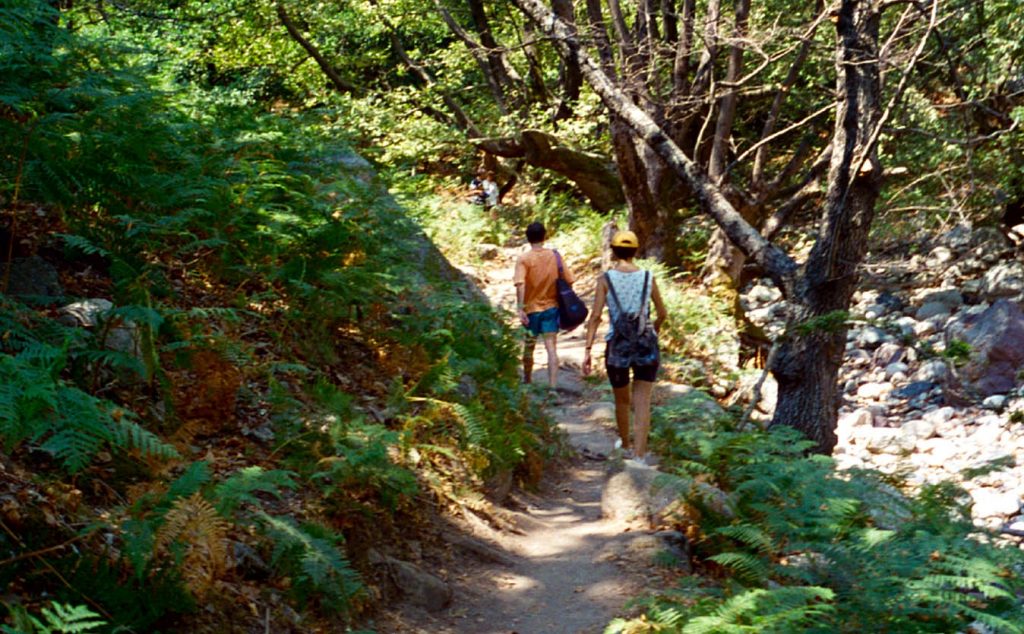 Έχασε τον προσανατολισμό της και κάλεσε βοήθεια