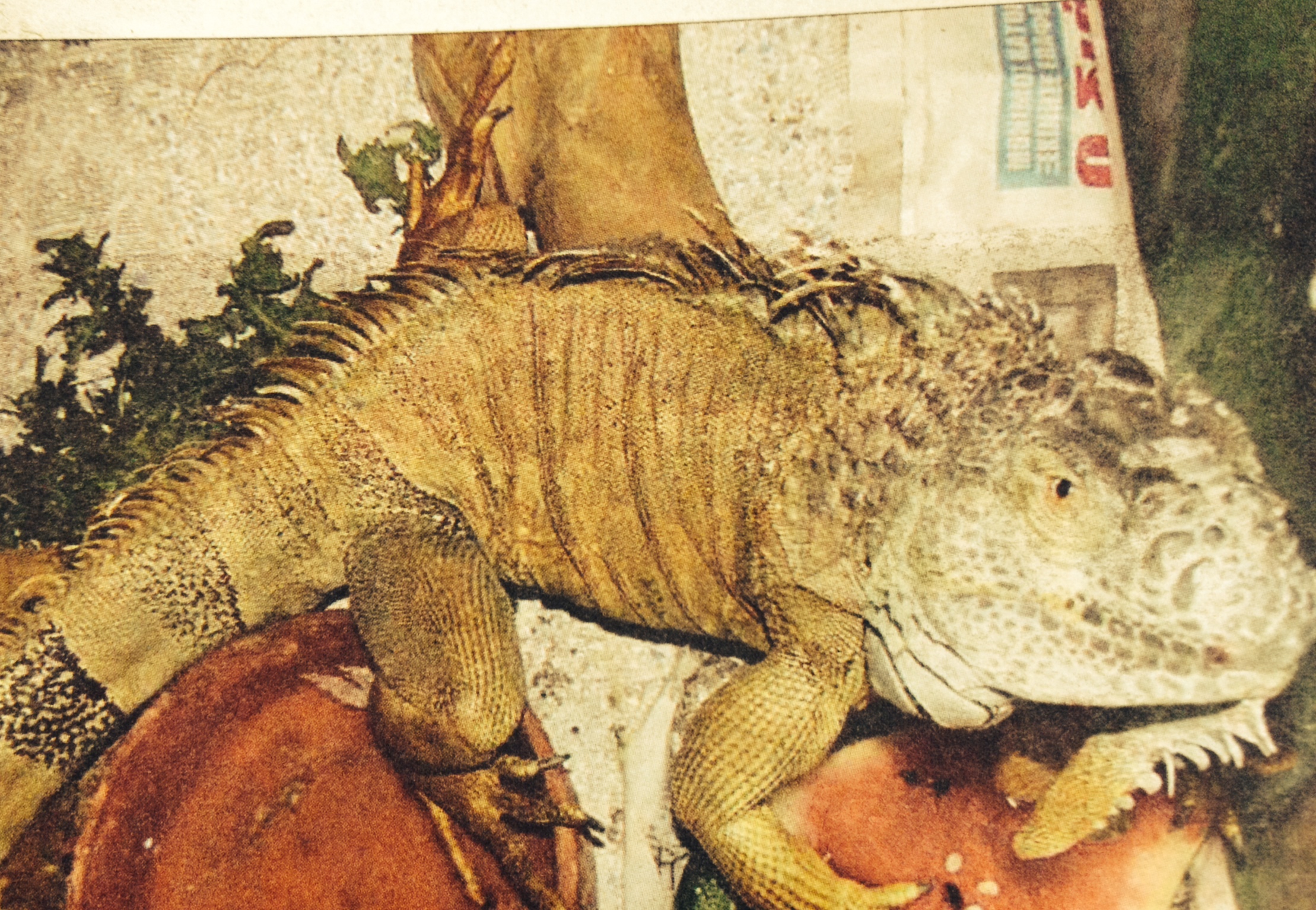 ΦΩΤΟ από εφημερίδα Espresso