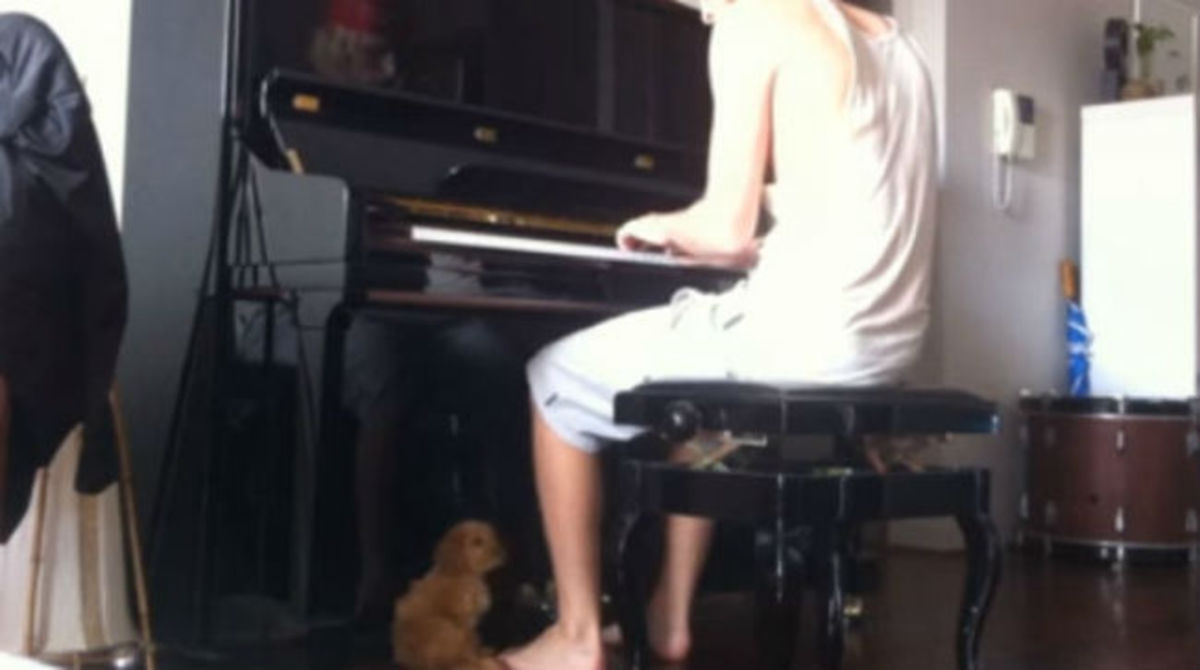 Η αντίδραση του σκύλου όταν ο ιδιοκτήτης του παίζει πιάνο!
