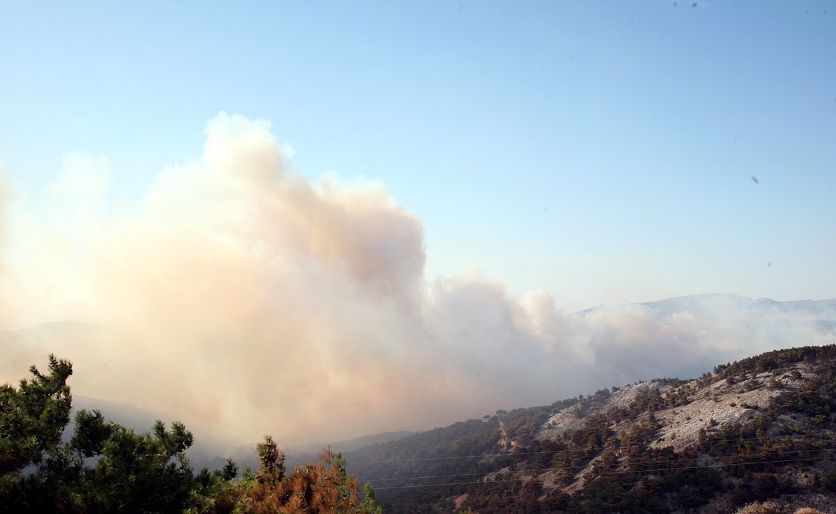 Δύο πύρινα μέτωπα στο Πήλιο