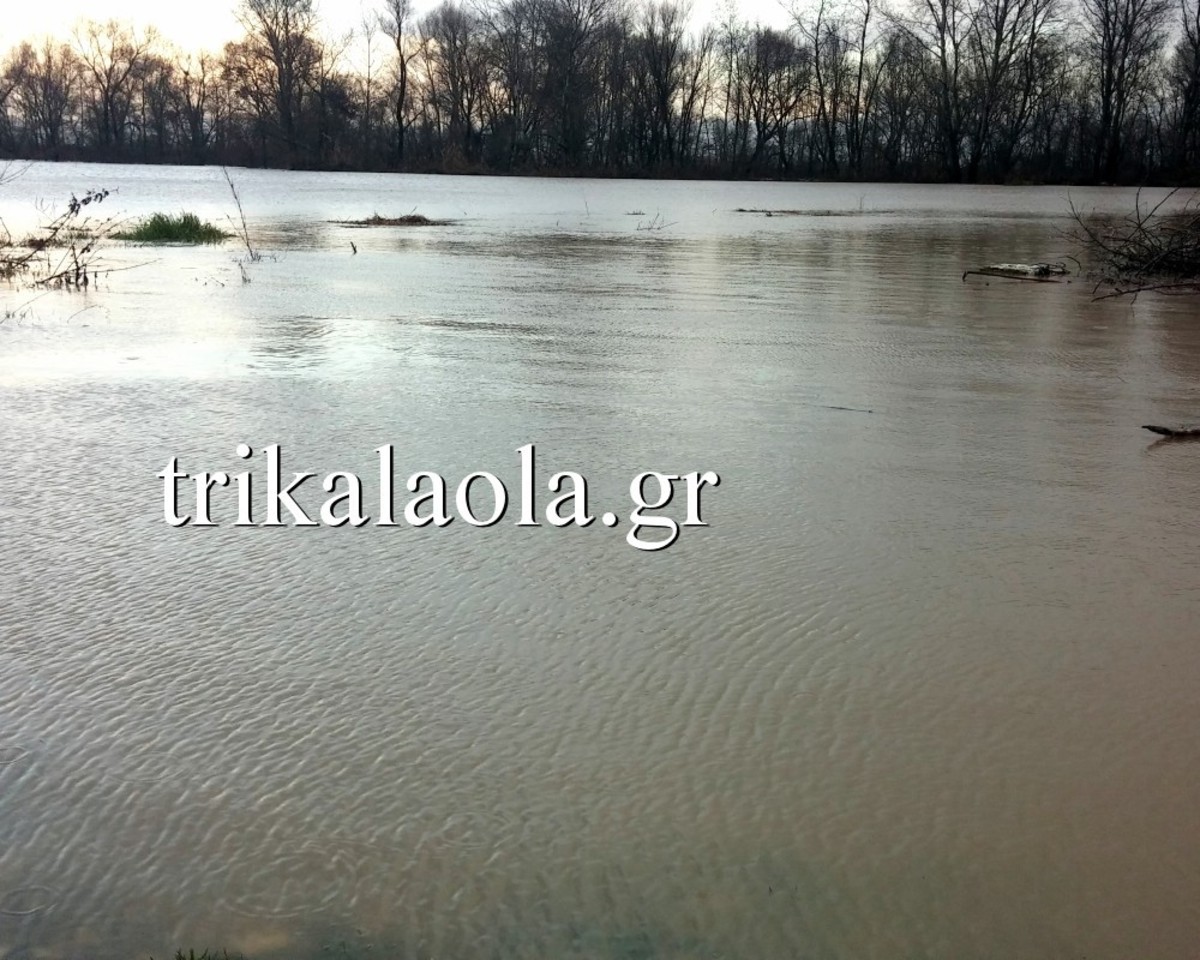 Τρίκαλα: Υπερχείλισε ο Πηνειός, πλημμύρισαν καλλιέργειες (ΒΙΝΤΕΟ)