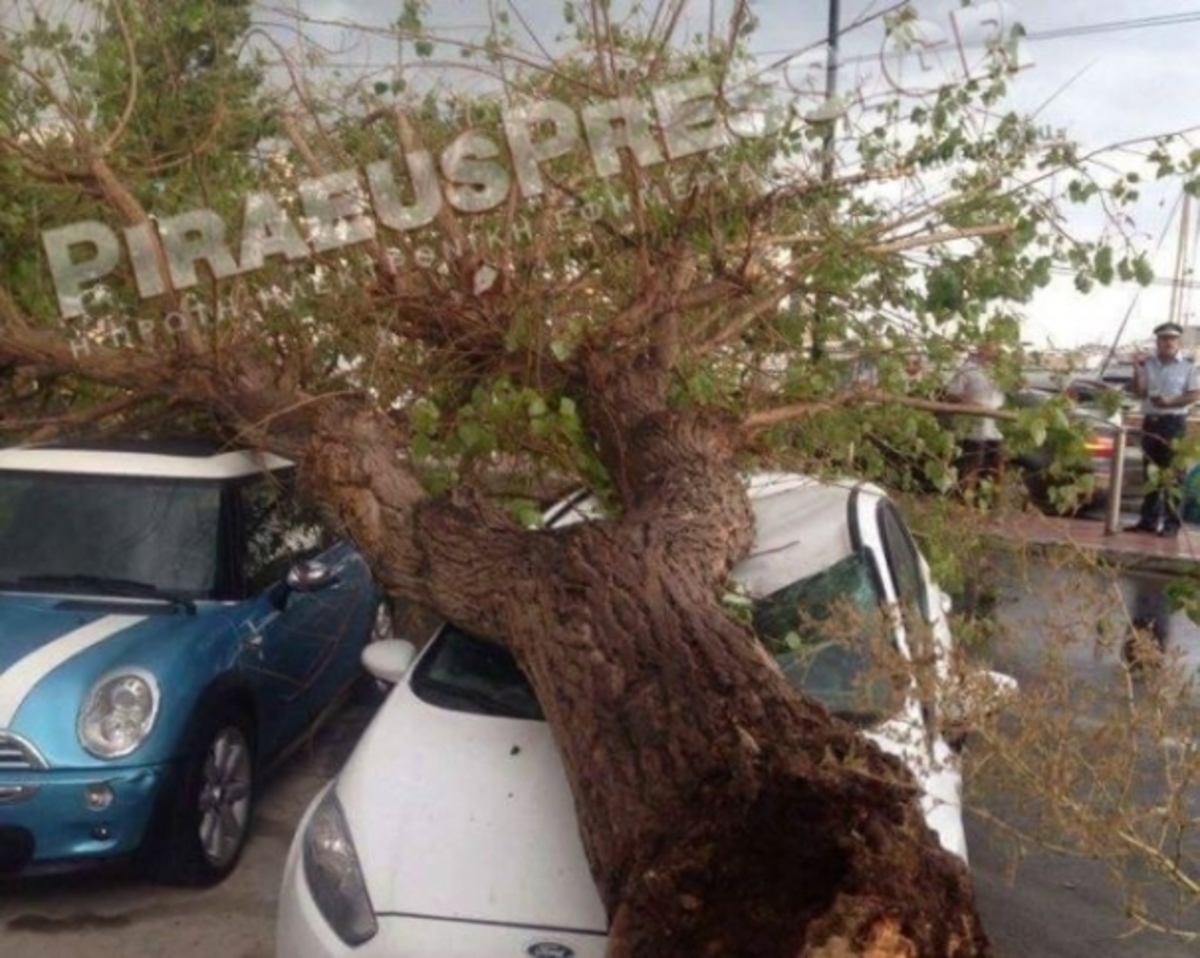 Απίστευτες εικόνες στον Πειραιά: Δέντρα έπεσαν σε αυτοκίνητα (ΦΩΤΟ, VIDEO)