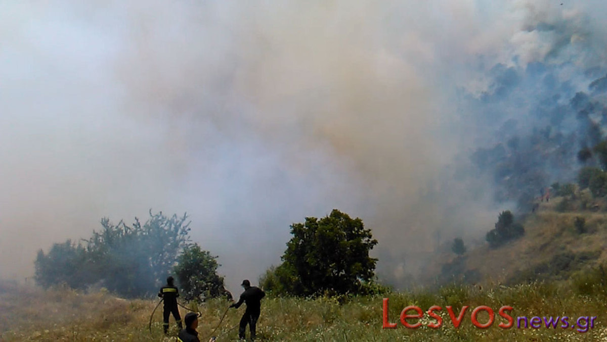 ΦΩΤΟ LESVOS NEWS