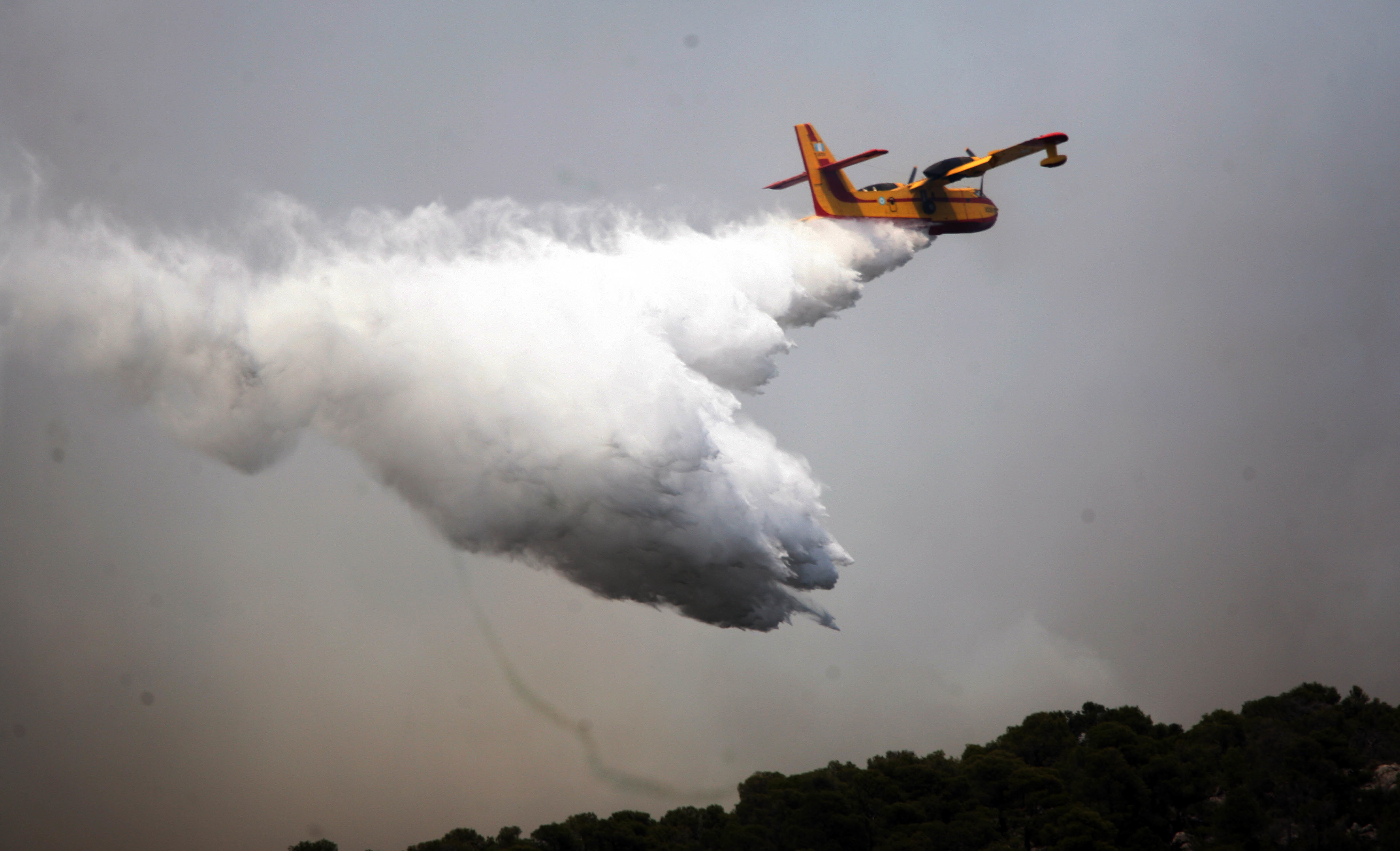 Μεγάλος κίνδυνος πυρκαγιών στη Β. Ελλάδα λόγω της έντονης βλάστησης