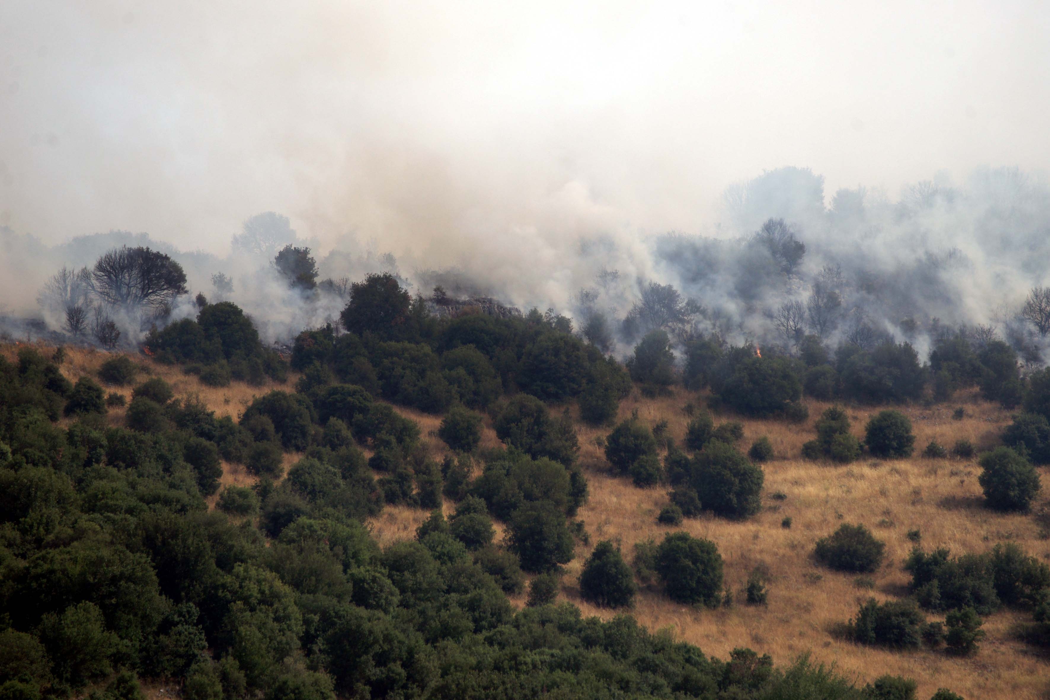 Πυρκαγιά σε εξέλιξη σε Ηλεία και Λάρισα
