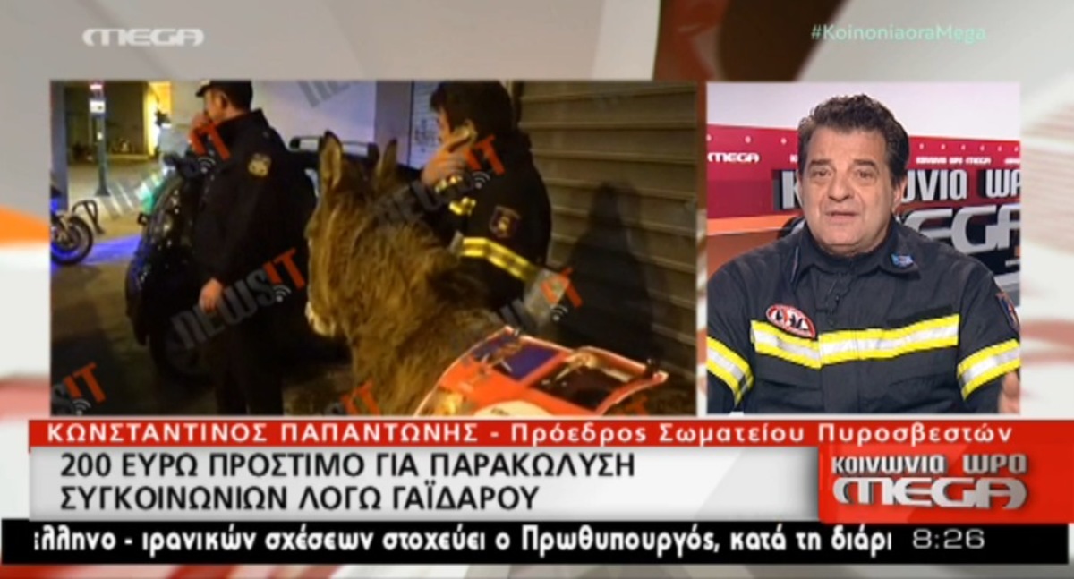 Ξέσπασμα πυροσβέστη για γαϊδαρο