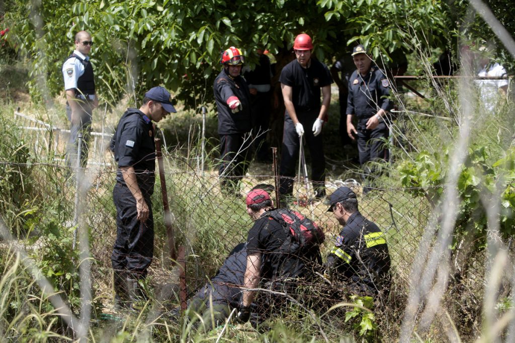 Επιχείρηση διάσωσης σκύλου που έπεσε σε τρύπα 15 μέτρων! (BINTEO)