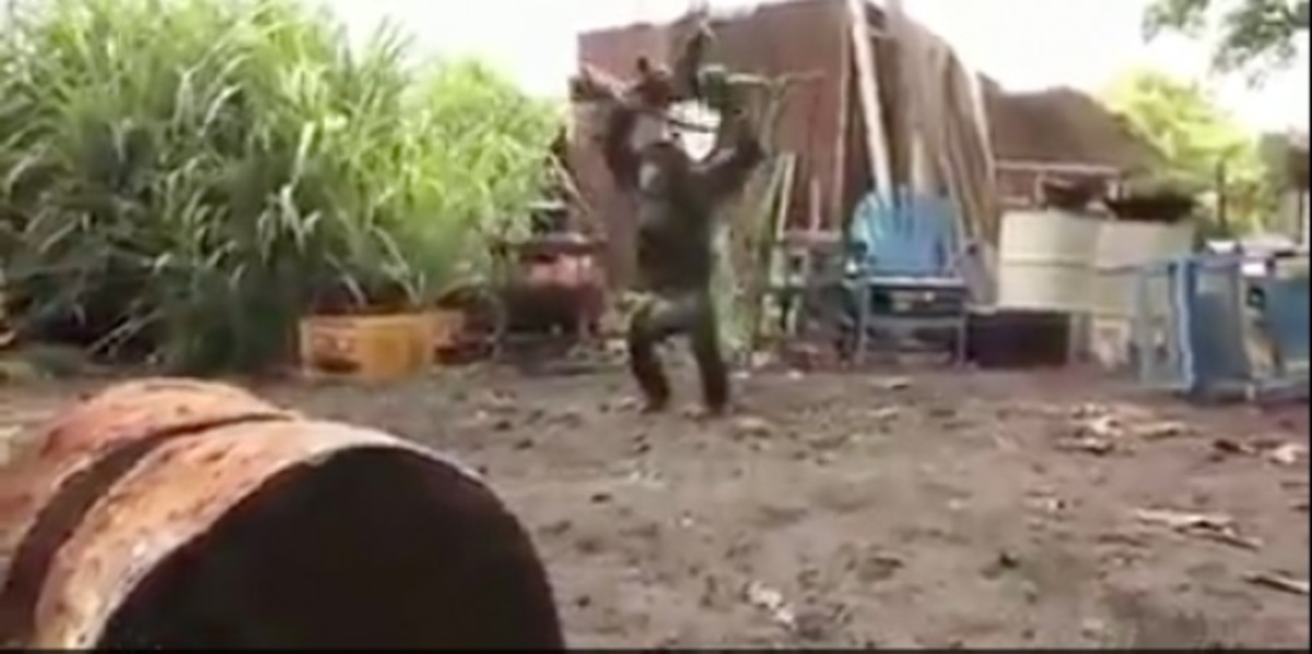 Πίθηκος με Καλάσνικοφ πυροβολεί στρατιώτες! Απίστευτο βίντεο