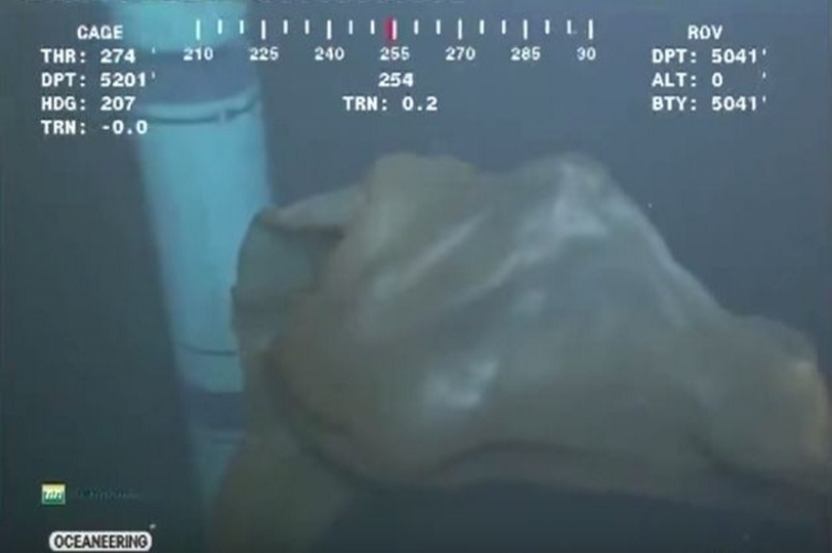 Δείτε το… εξωγήινο πλάσμα που κατέγραψε κάμερα στην βάση θαλάσσιας πετρελαιοπηγής (ΒΙΝΤΕΟ)