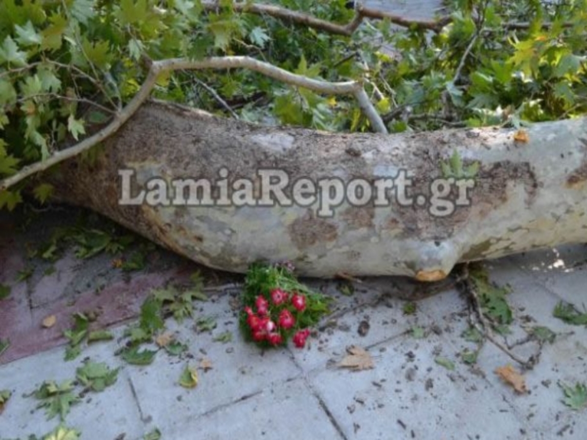 ΦΩΤΟ - lamiareport.gr