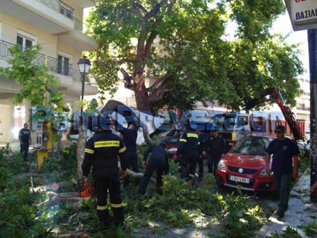 ΦΩΤΟ από pamepreveza.gr