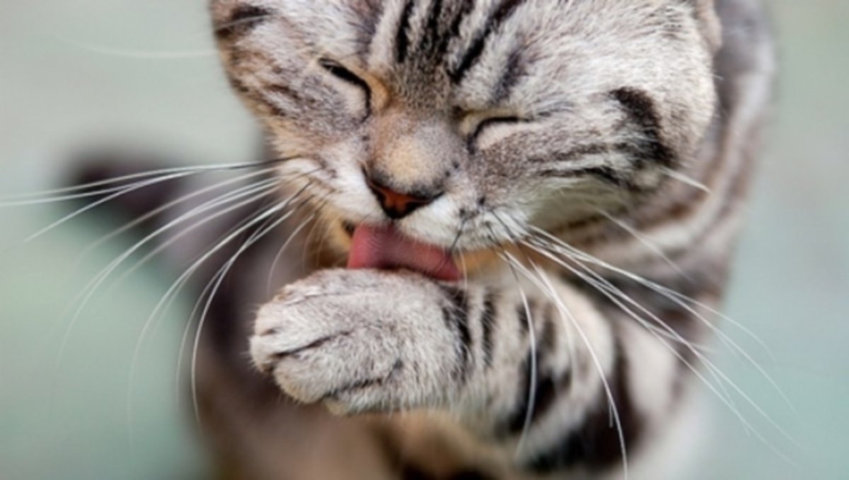 Μην διστάσετε να το κάνετε αν χρειαστεί: Τι επουλώνει άμεσα τις πληγές