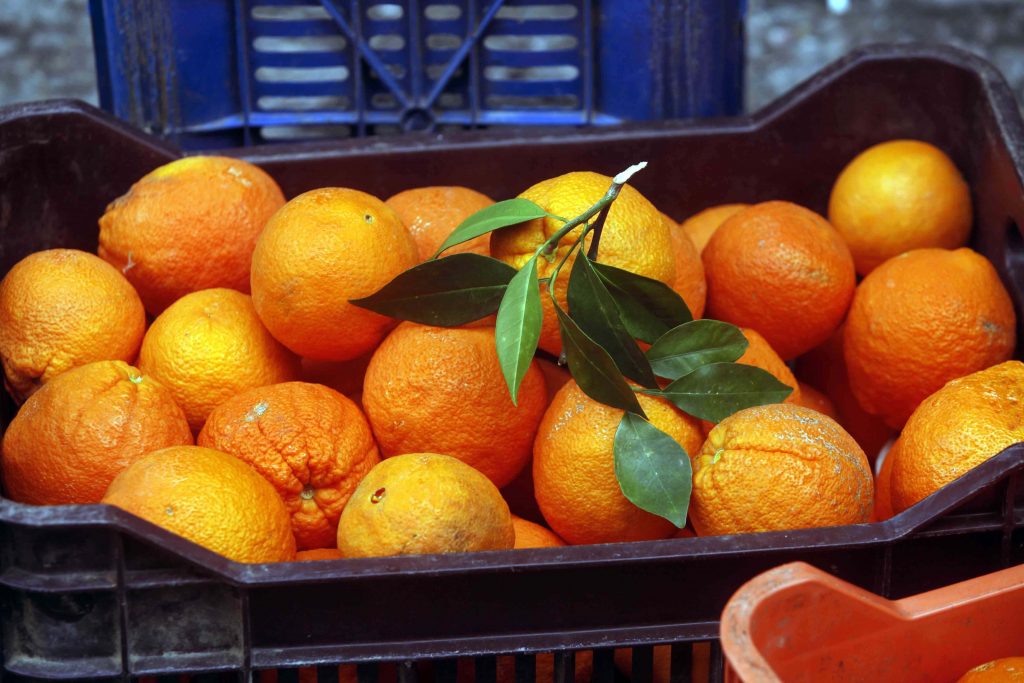 Ηγουμενίτσα: Έκρυψε λαθρομετανάστες ανάμεσα σε κούτες με πορτοκάλια