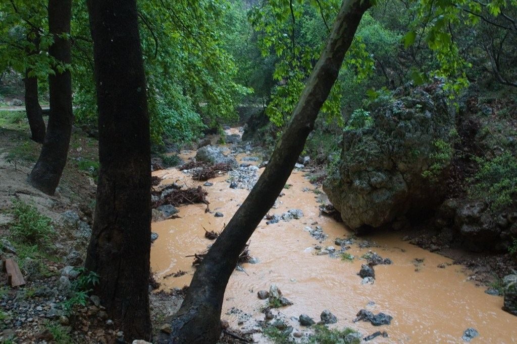 Χανιά: Έπεσε με το αυτοκίνητο στο ποτάμι