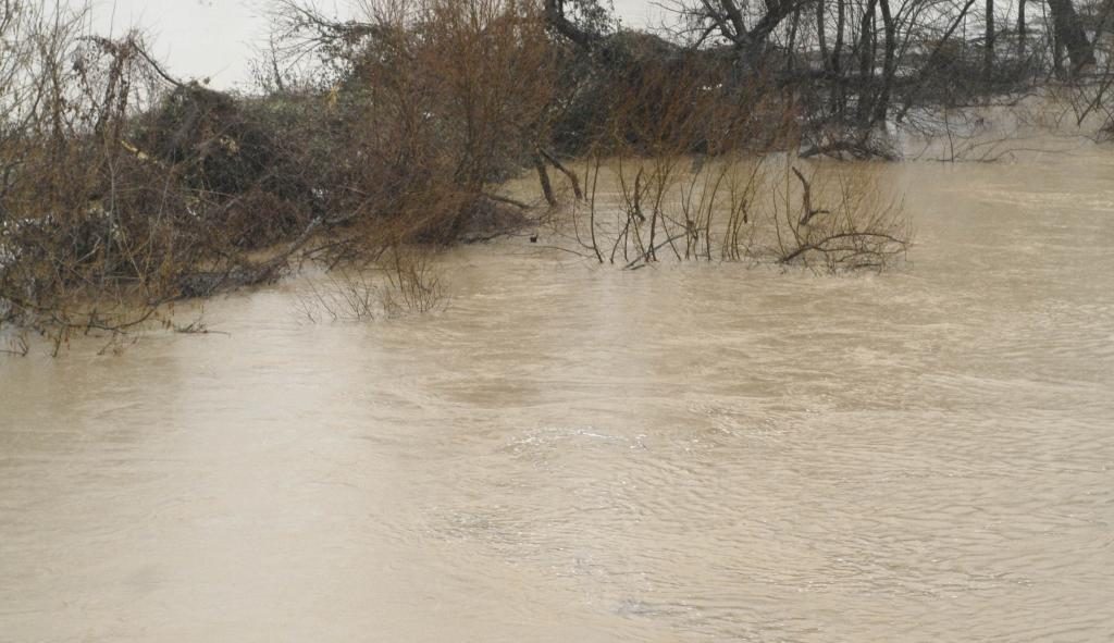 ΦΩΤΟ EUROKINISSI