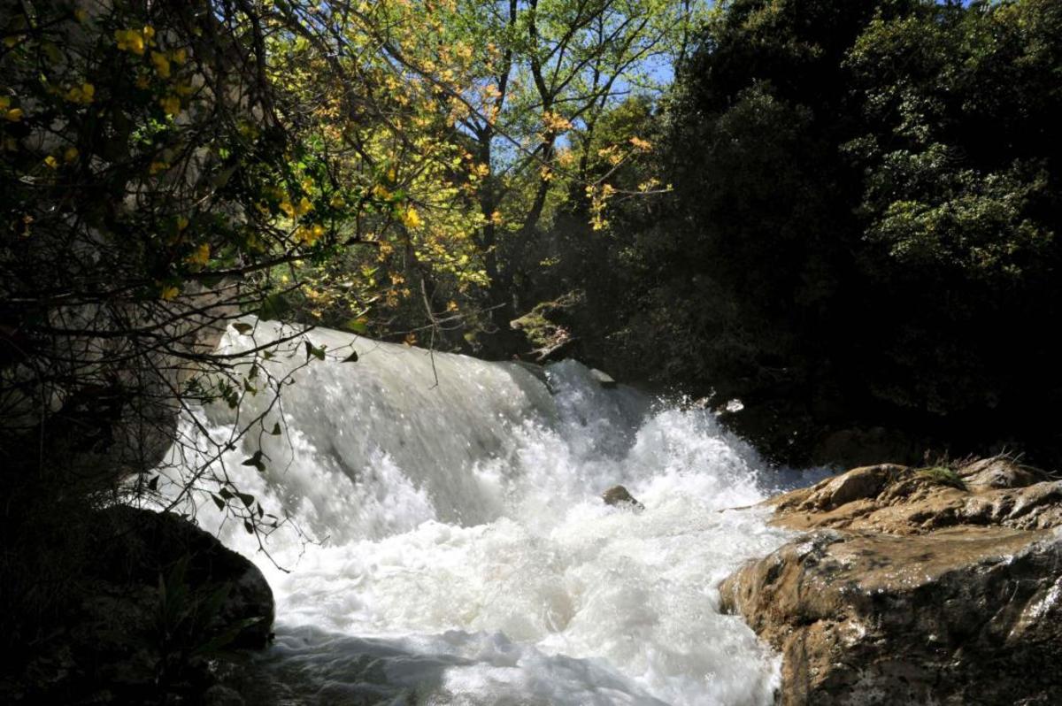 ΦΩΤΟ EUROKINISSI