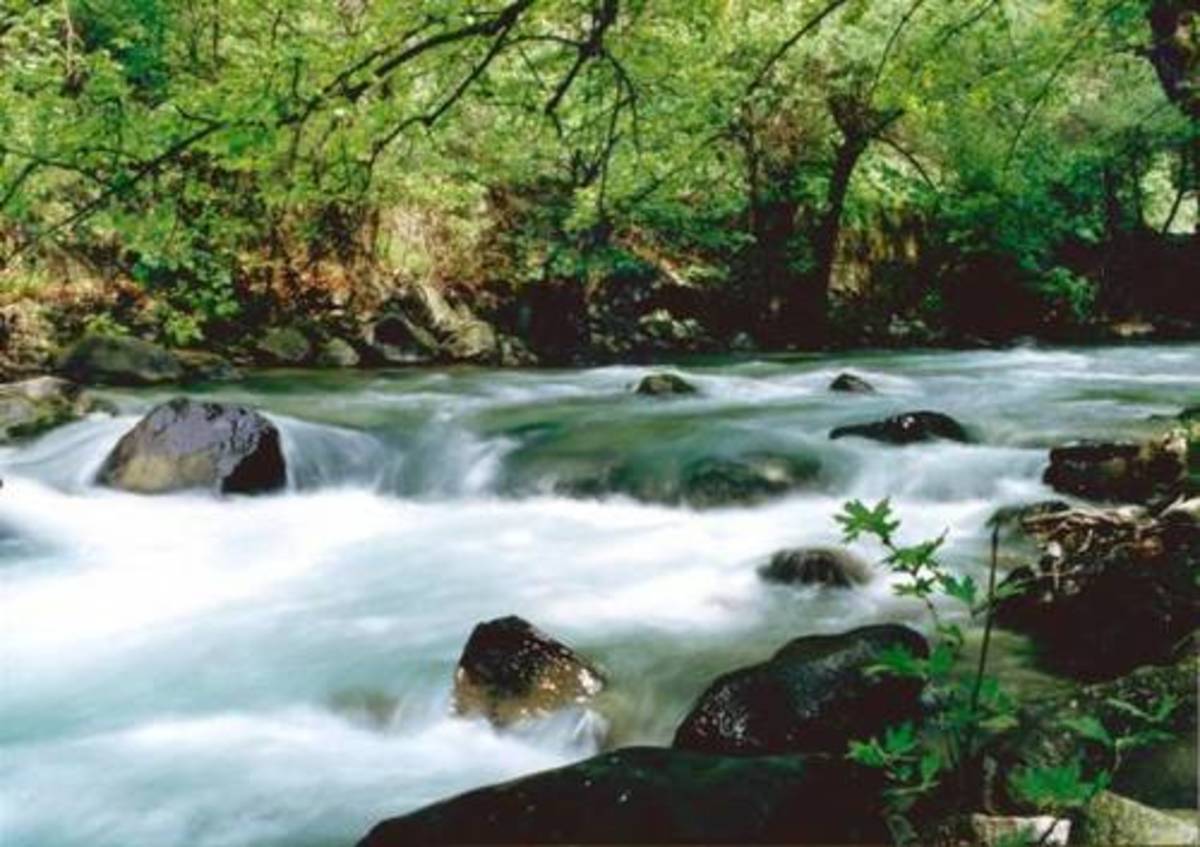 Θεσπρωτία: Νεκρός σε ποτάμι εντοπίστηκε αγνοούμενος ηλικιωμένος