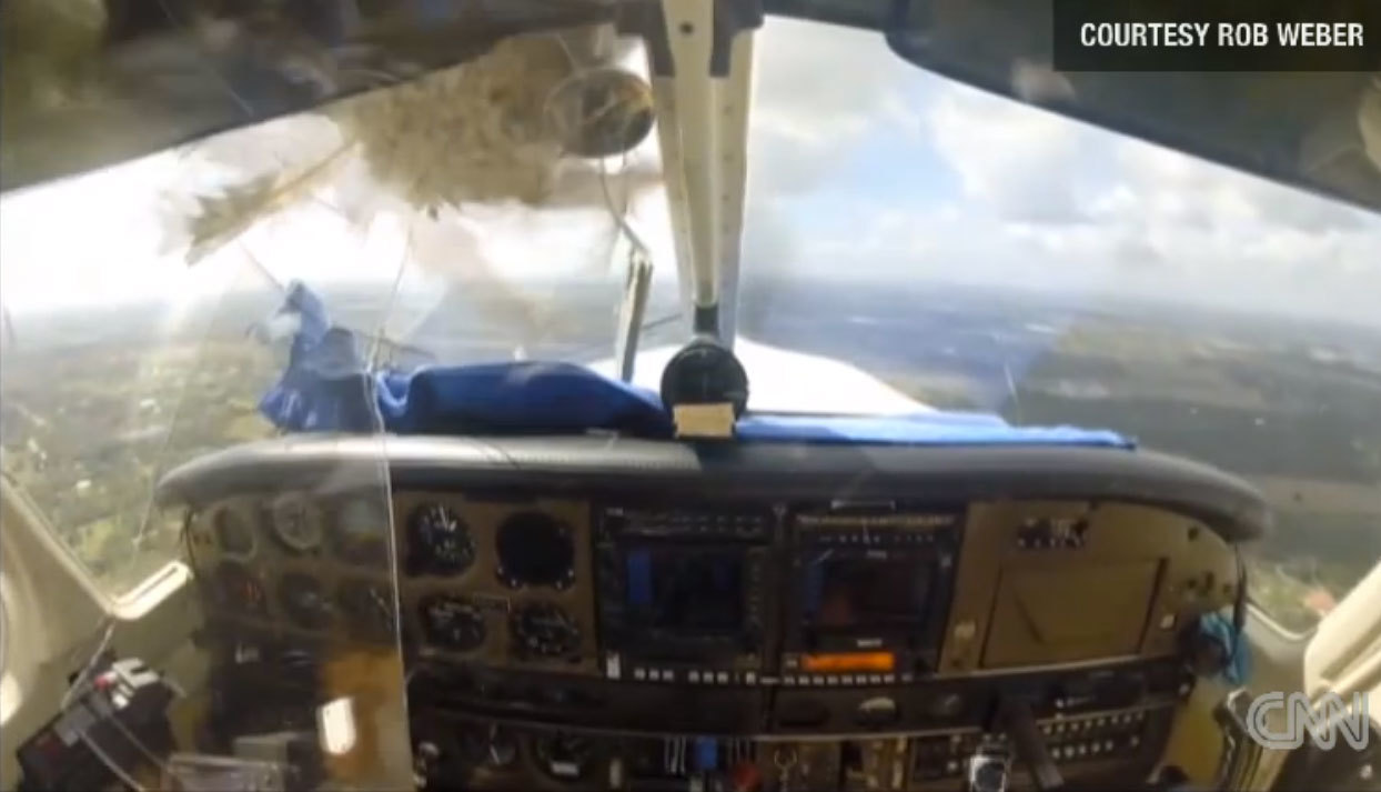 Απίστευτο video: Η στιγμή που πουλί πέφτει πάνω σε αεροπλάνο