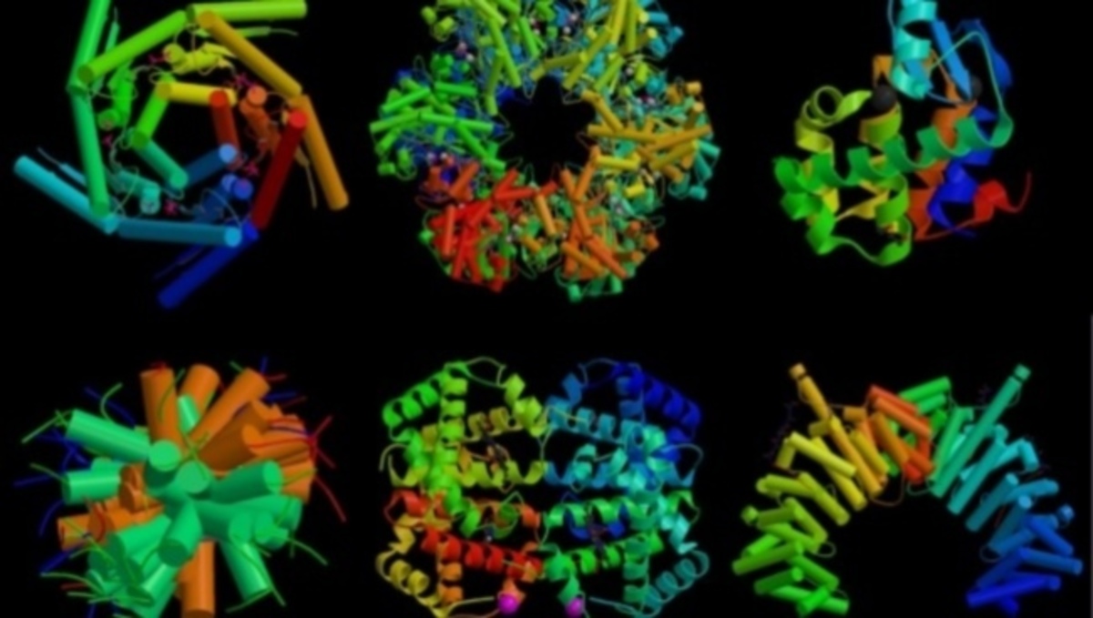 Νέους δρόμους στην ιατρική ανοίγει “χάρτης” πρωτεϊνών
