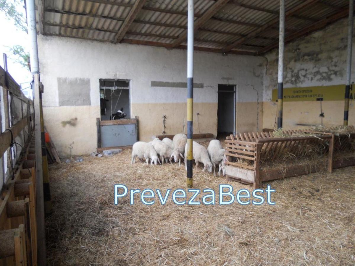 ΦΩΤΟ από το prevezabest