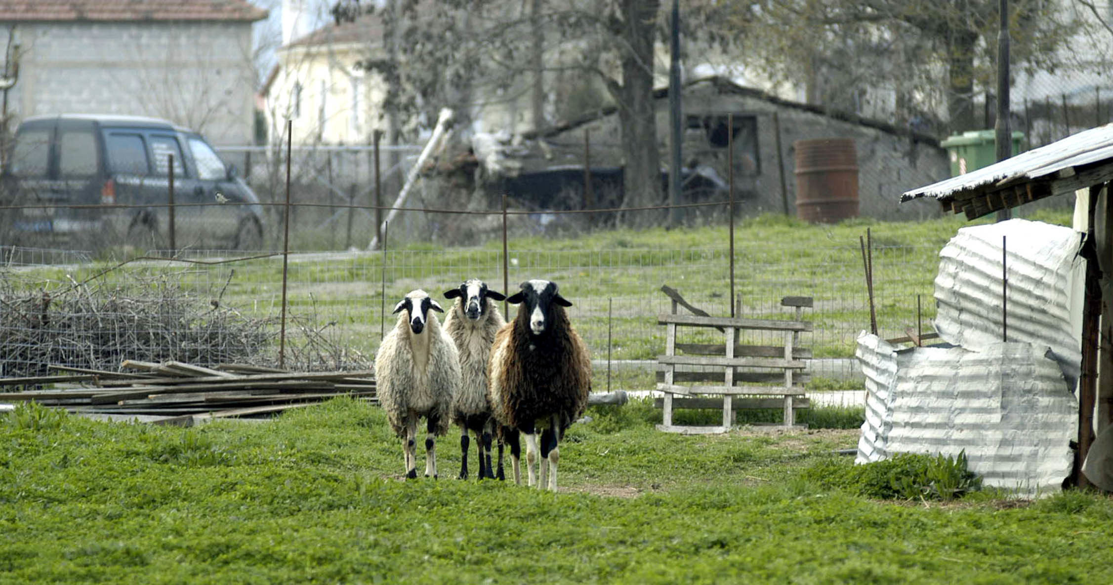 ΦΩΤΟ AΡΧΕΙΟΥ EUROKINISSI