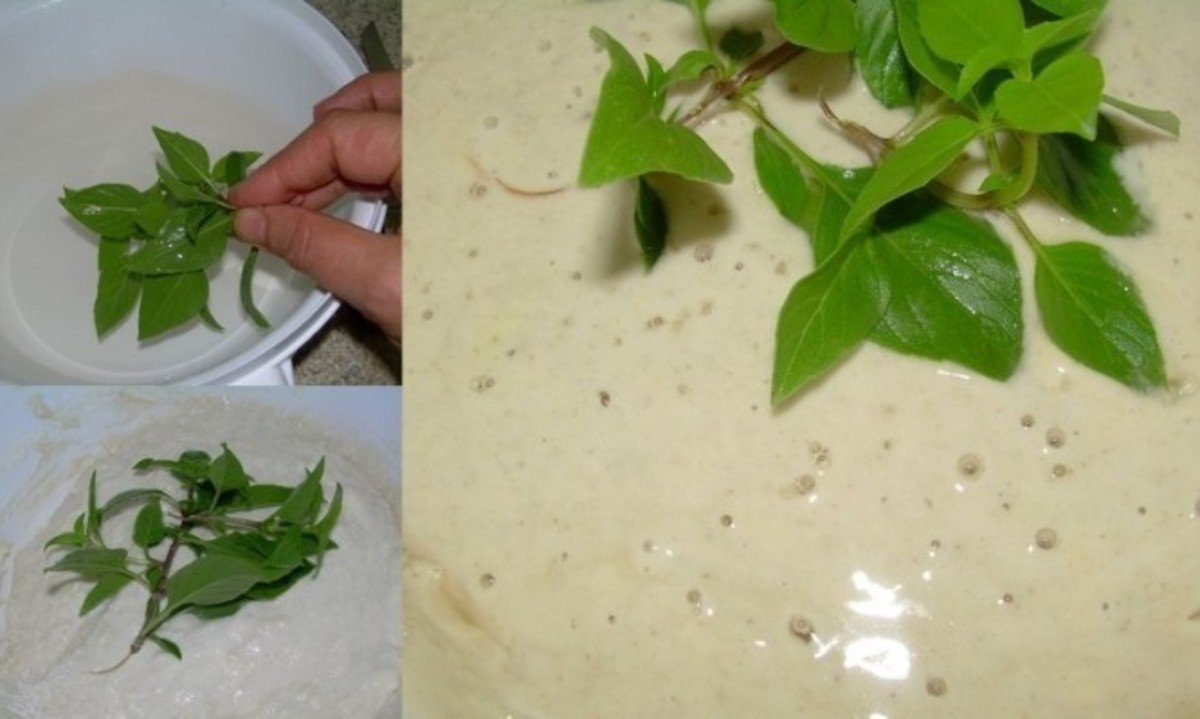 Προζύμι δίχως μαγιά με το βασιλικό του Τιμίου Σταυρού