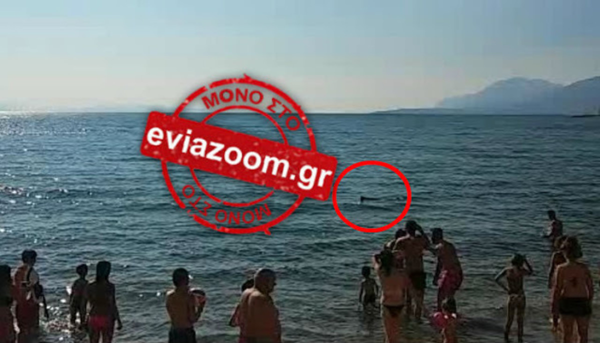 ΦΩΤΟ από το eviazoom