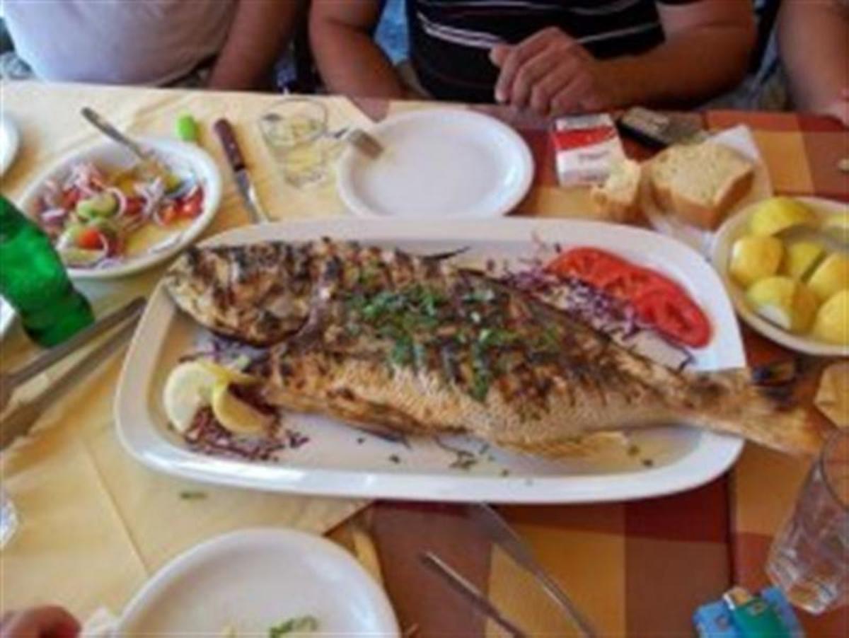 Γαύροι, τόνοι και κολιοί με ίνες πλαστικού στο πιάτο μας!