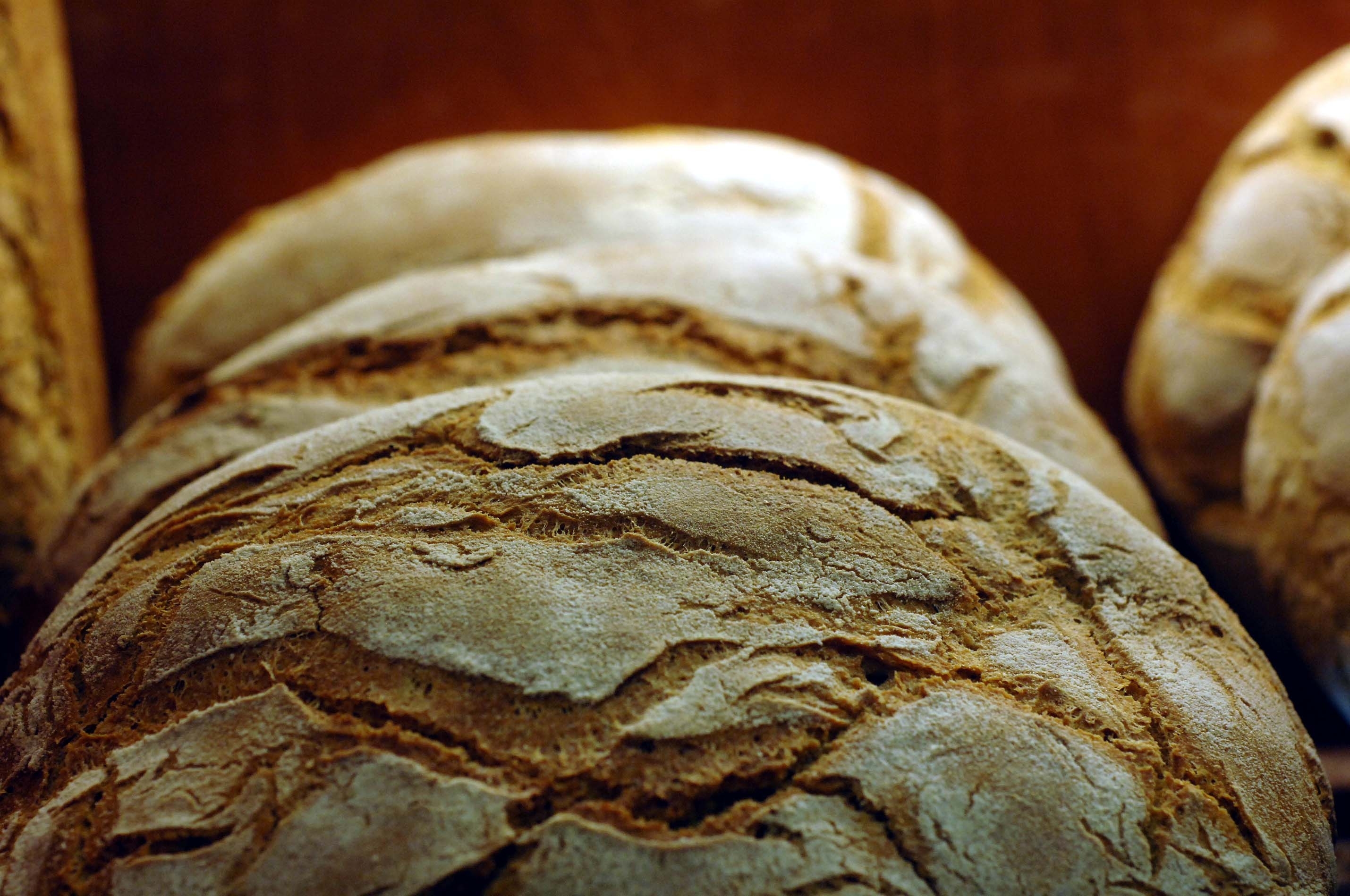 ΦΩΤΟ ΑΡΧΕΙΟΥ EUROKINISSI