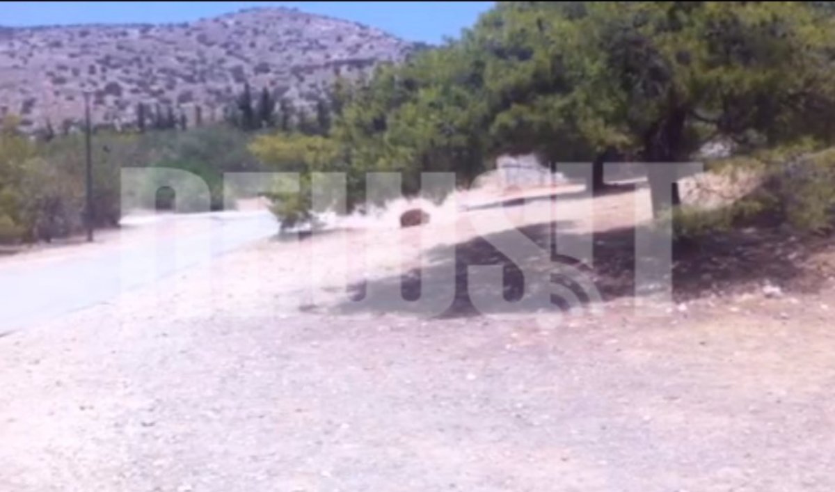 Πτώμα γυναίκας στο Χαϊδάρι
